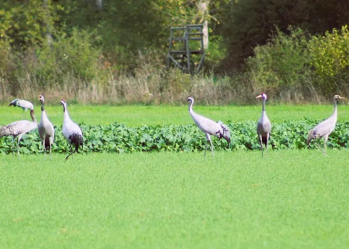 Séjour à la campagne La Pinsonniere