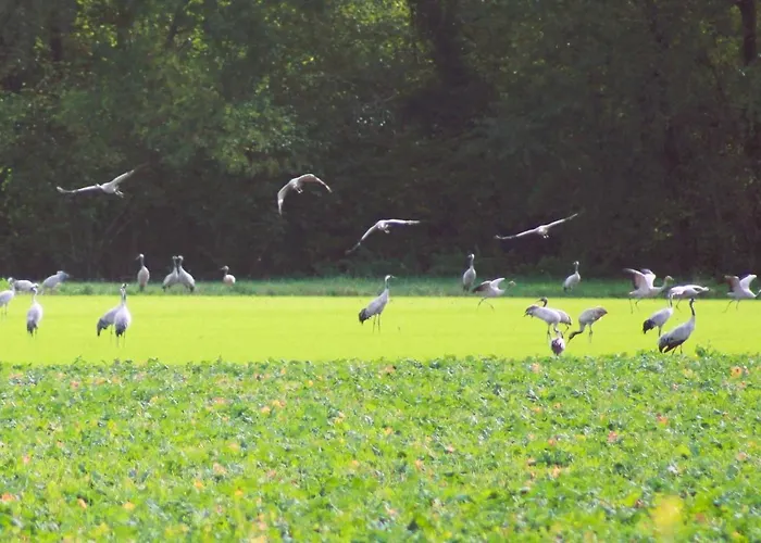 La Pinsonniere Séjour à la campagne Heiltz-le-Hutier